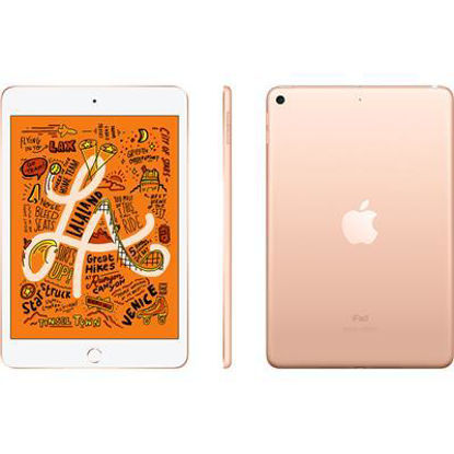 Picture of Apple iPad mini 256GB Wi-Fi (GOLD) [2019]
