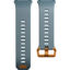 Picture of Fitbit Ionic Smart Fitness Watch (Slate Blue/Burnt Orange)