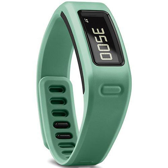 Picture of Garmin Vivofit Activity Tracker