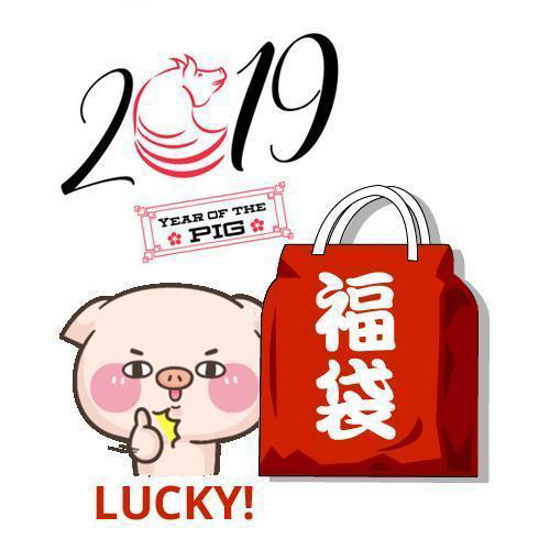 Picture of Lucky Fortune Bag